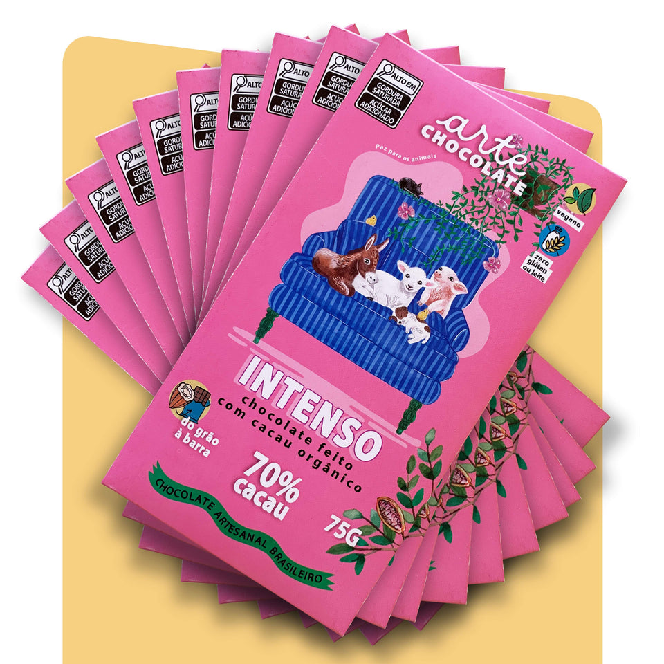 Chocolate 70% Cacau Coleção com 10 Barras 750g